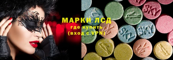 ECSTASY Богданович