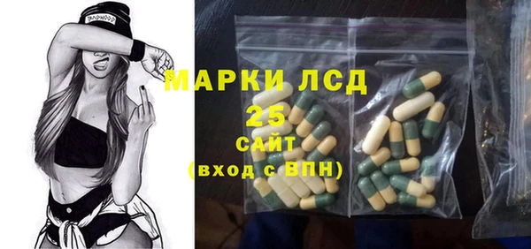 ECSTASY Богданович